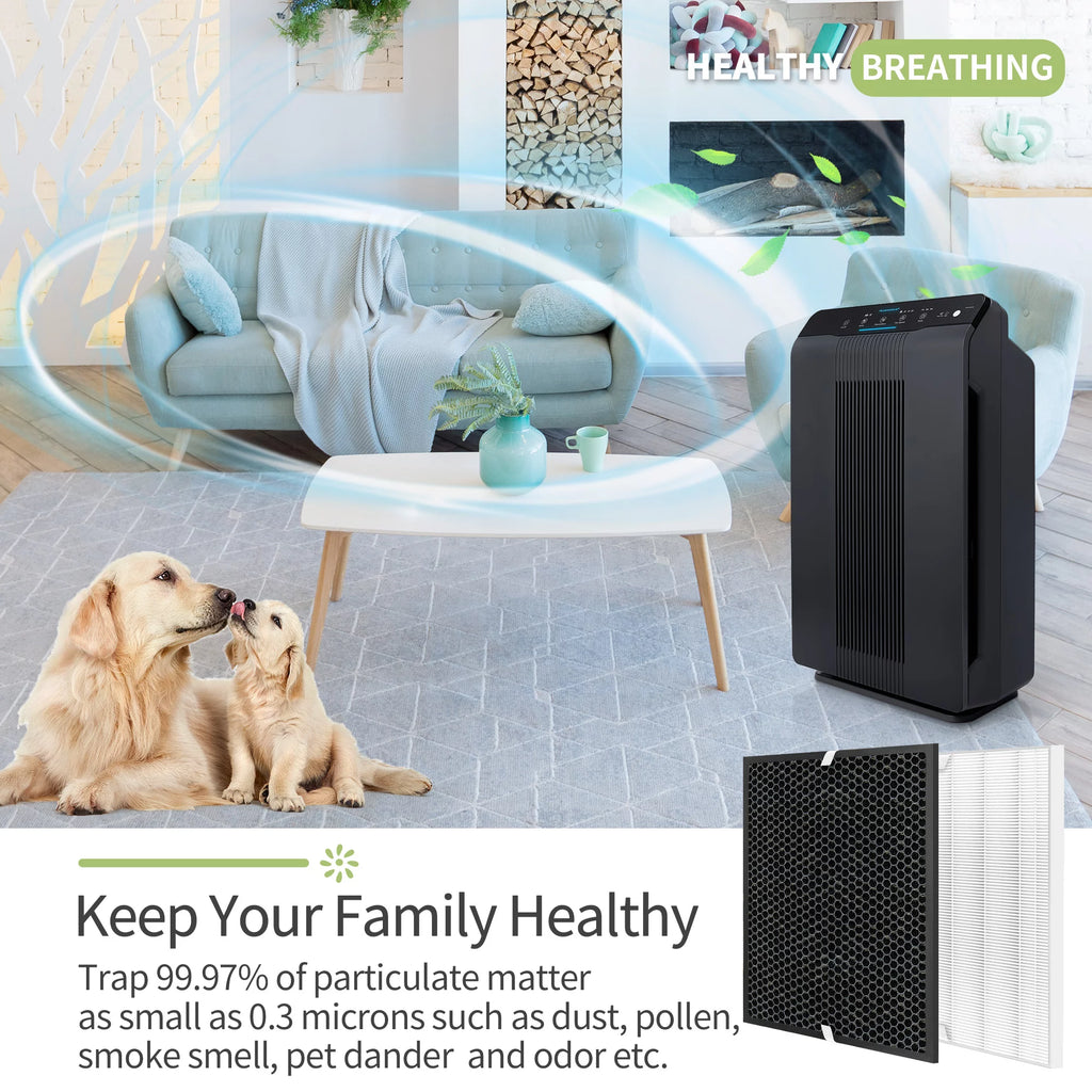 2 Sets H13 HEPA and Activated Carbon Filters L53663