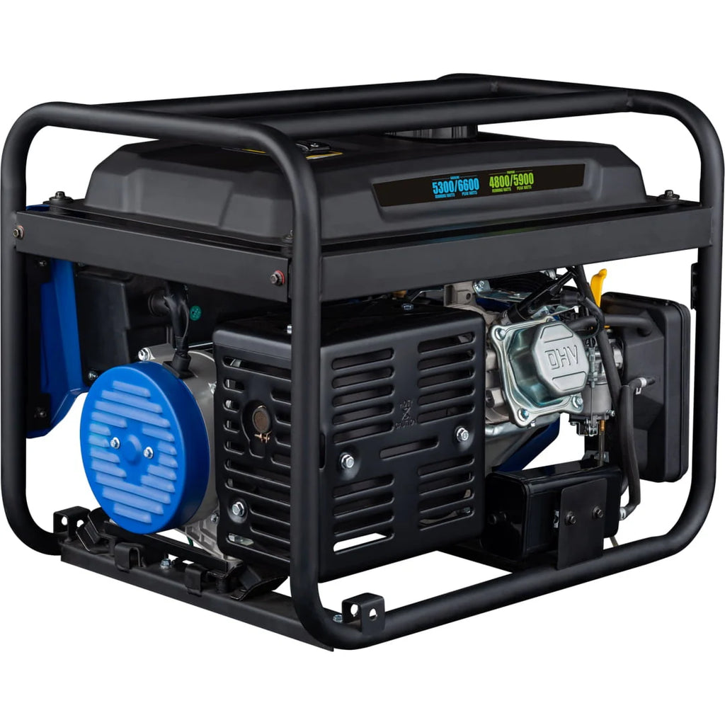 6600 Peak Watt Dual Fuel Portable Generator with Remote Electric Start F218
