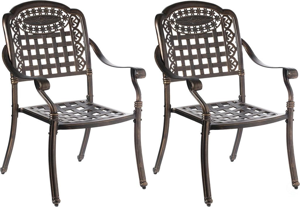 Bronze Cast Aluminum Dining Set 2 Chairs Y186