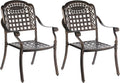Bronze Cast Aluminum Dining Set 2 Chairs Y186