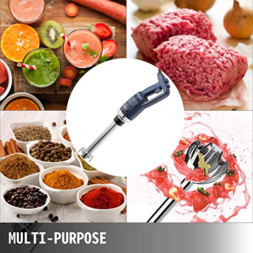 350W 304 Stainless Steel Immersion Blender F9292