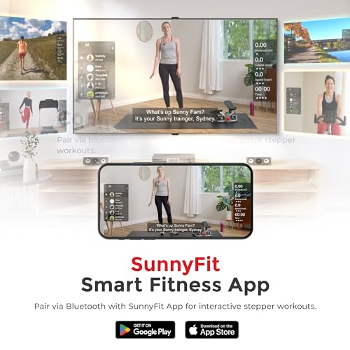 2-in-1 Power Stepper with Resistance Bands L839
