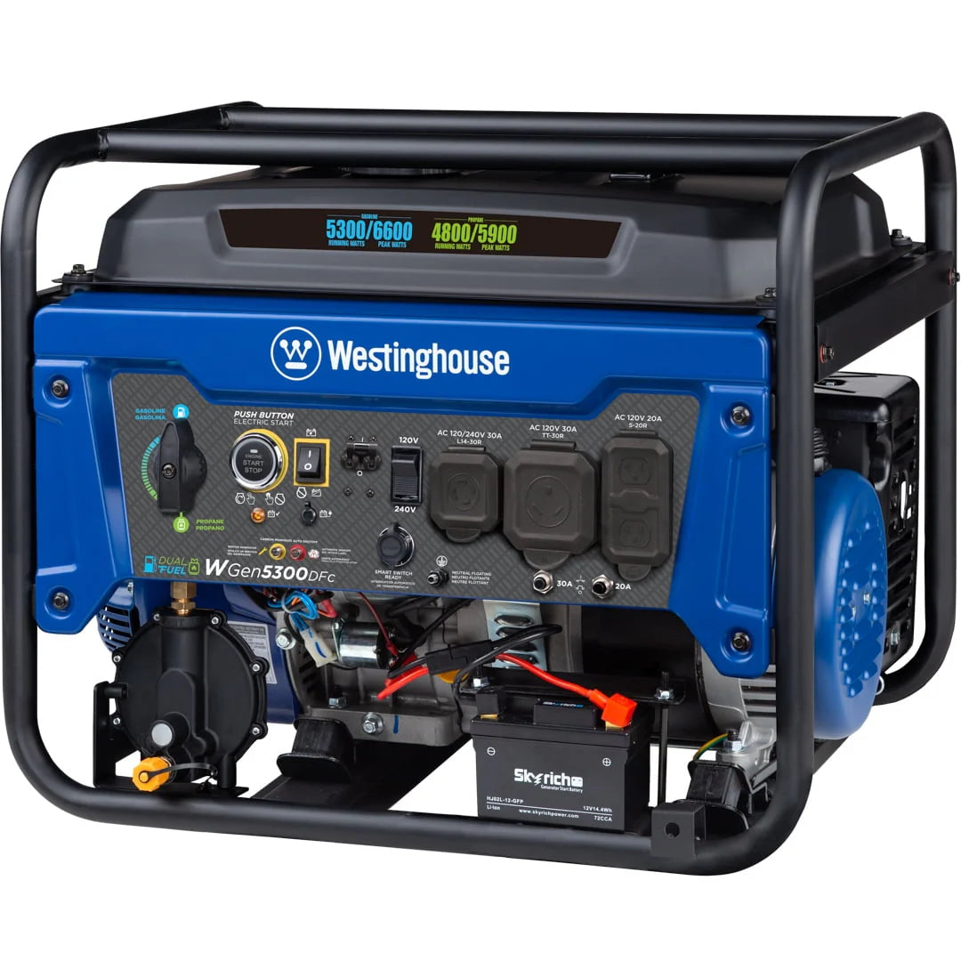 6600 Peak Watt Dual Fuel Portable Generator with Remote Electric Start F218
