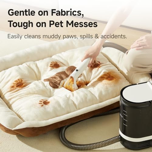 Portable Carpet and Upholstery Cleaner Spot Cleaner H6939