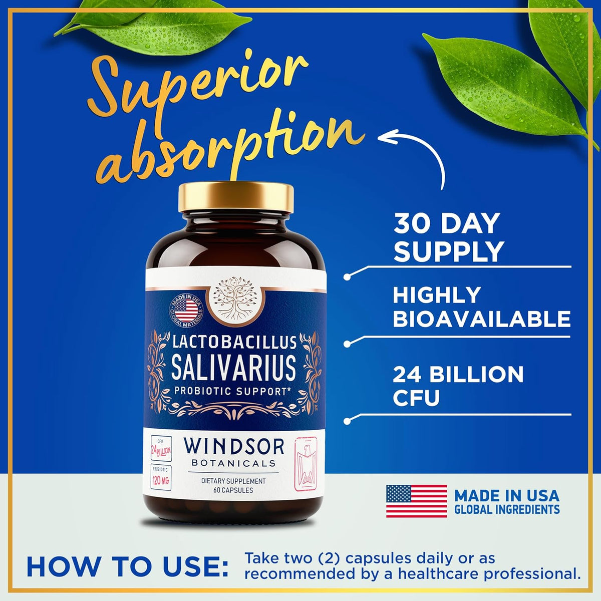 Lactobacillus Salivarius Probiotic Capsules, 24bn CFU, 2-Pack 120 Caps M61843