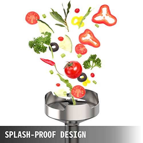 350W 304 Stainless Steel Immersion Blender F9292