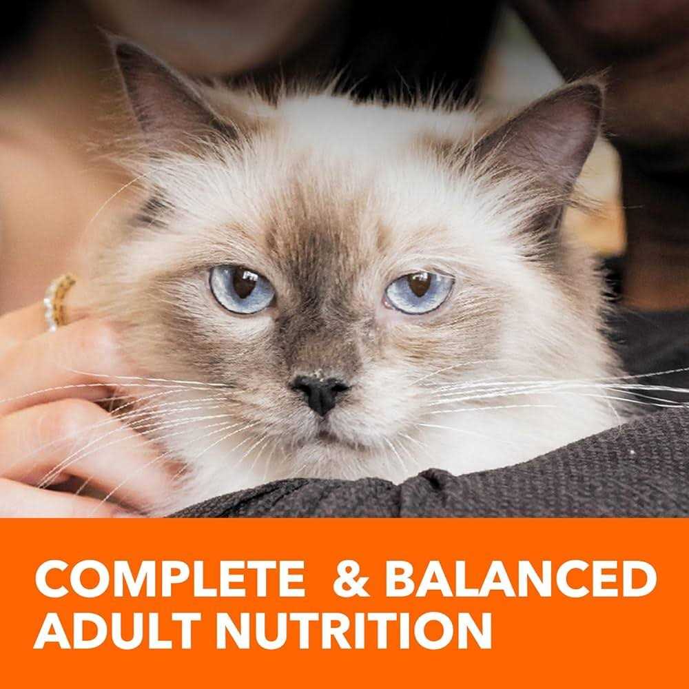 Sensitive Digestion & Skin Dry Cat Food H865685