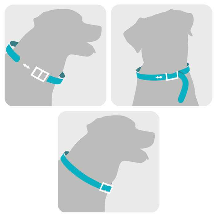 Flea & Tick Collar for Dogs E8388