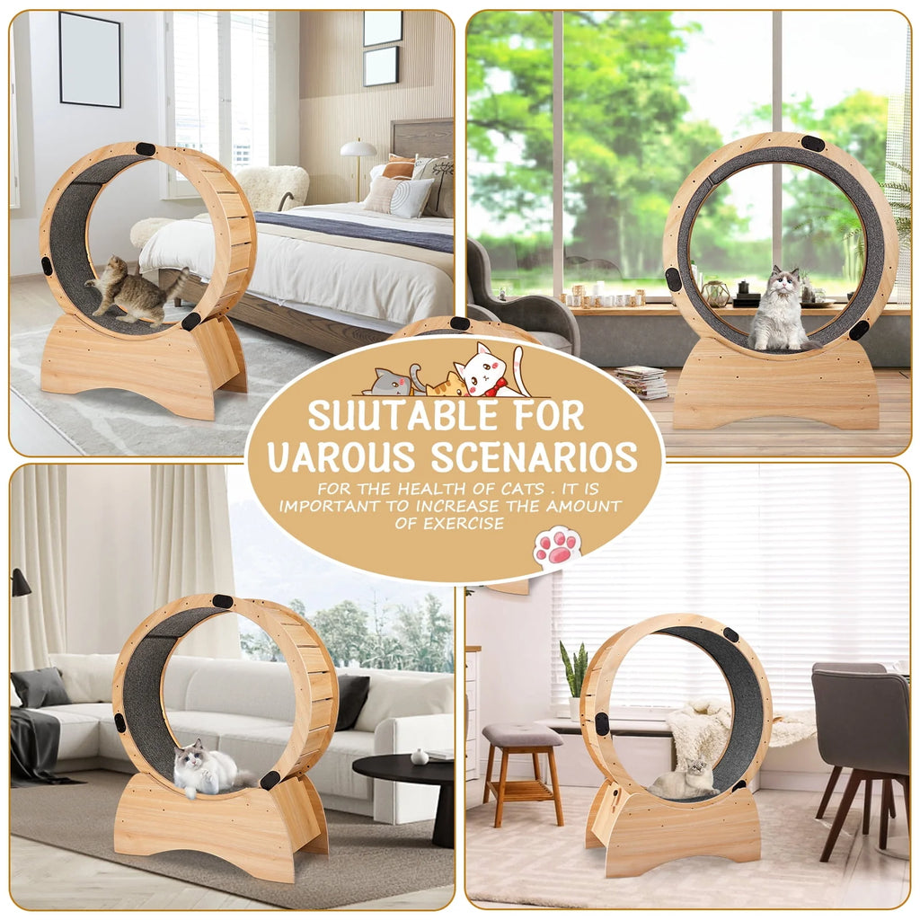 Cat Exercise Wheel Z796406
