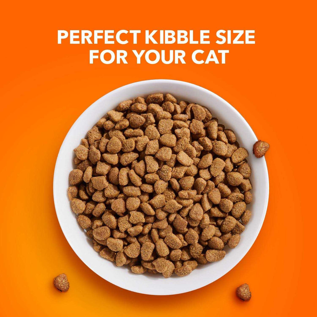 Sensitive Digestion & Skin Dry Cat Food H865685