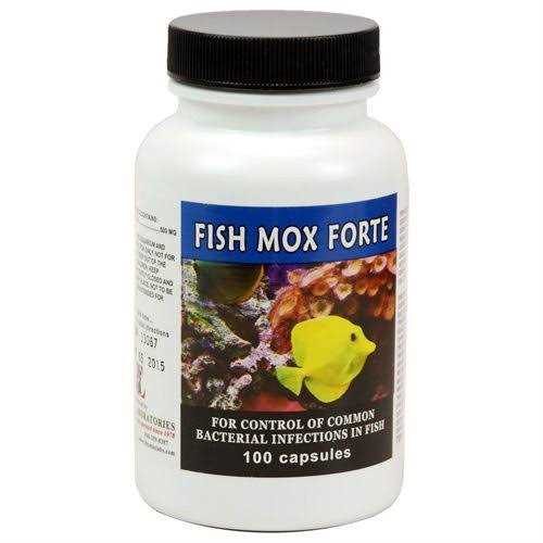500 mg 100 Capsules X771608