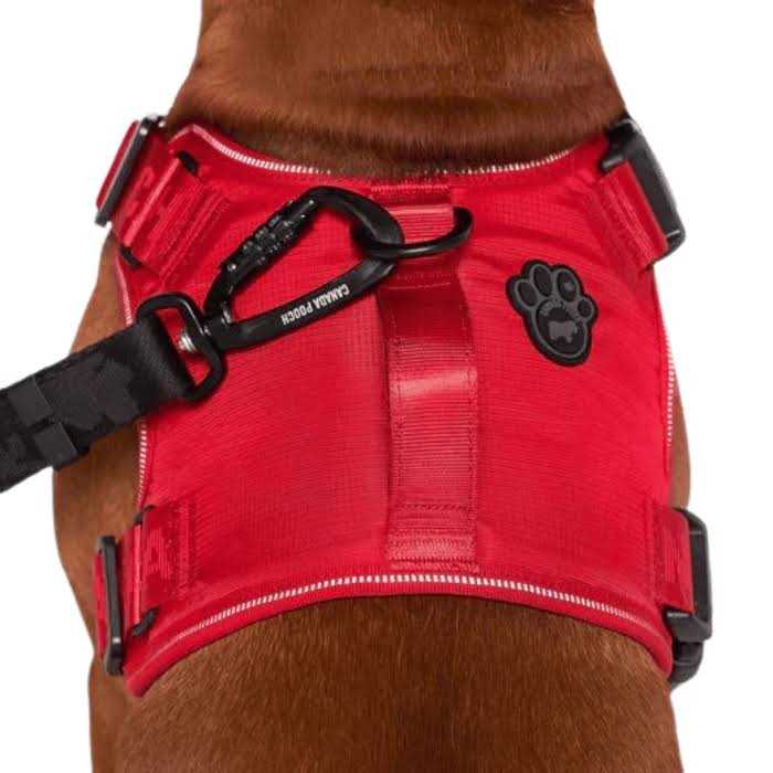 Complete Control Dog Harness V342