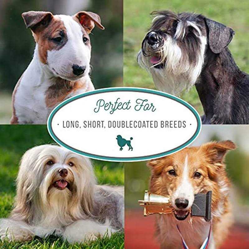 Dematt Conditioner for Dogs Cats E244