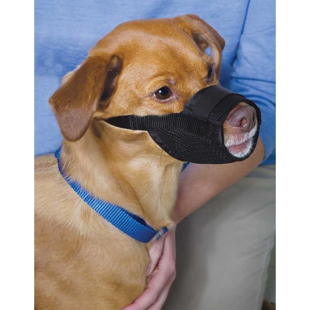 Dog Muzzle B16994