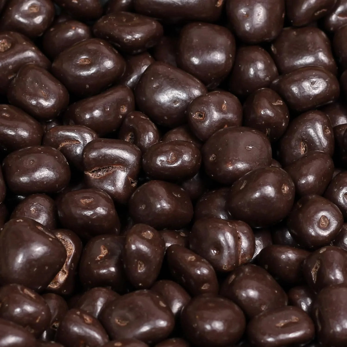 Dark Chocolate Covered Dried Mango 10 Lbs Bulk Bag Vegan Non-Dairy Kosher W89105
