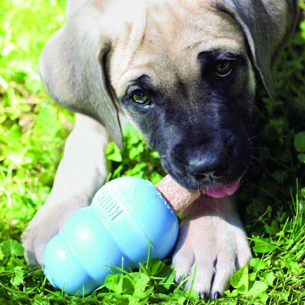 Ziggies B530303