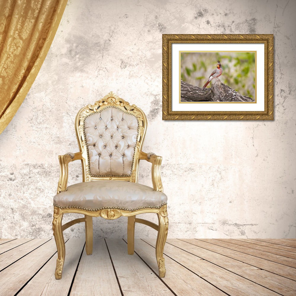Gold Ornate Wood Framed Art Print Y25293