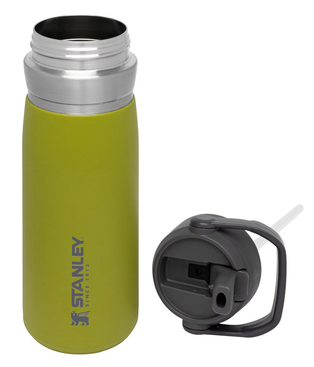 22 oz Insulated Stainless Steel Water Bottle with Straw and Flip-Top Lid J92565