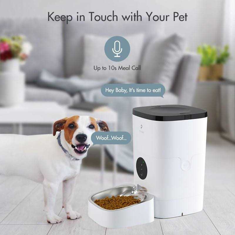 Automatic Cat Food Dispenser B12756