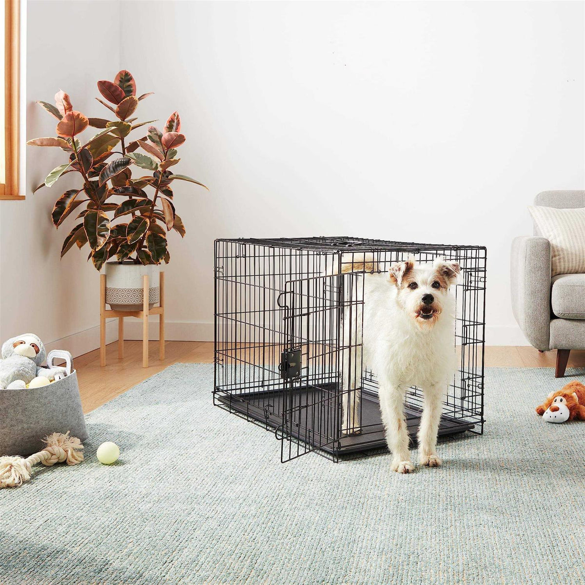 Foldable Metal Wire Dog Crate with Tray C7446