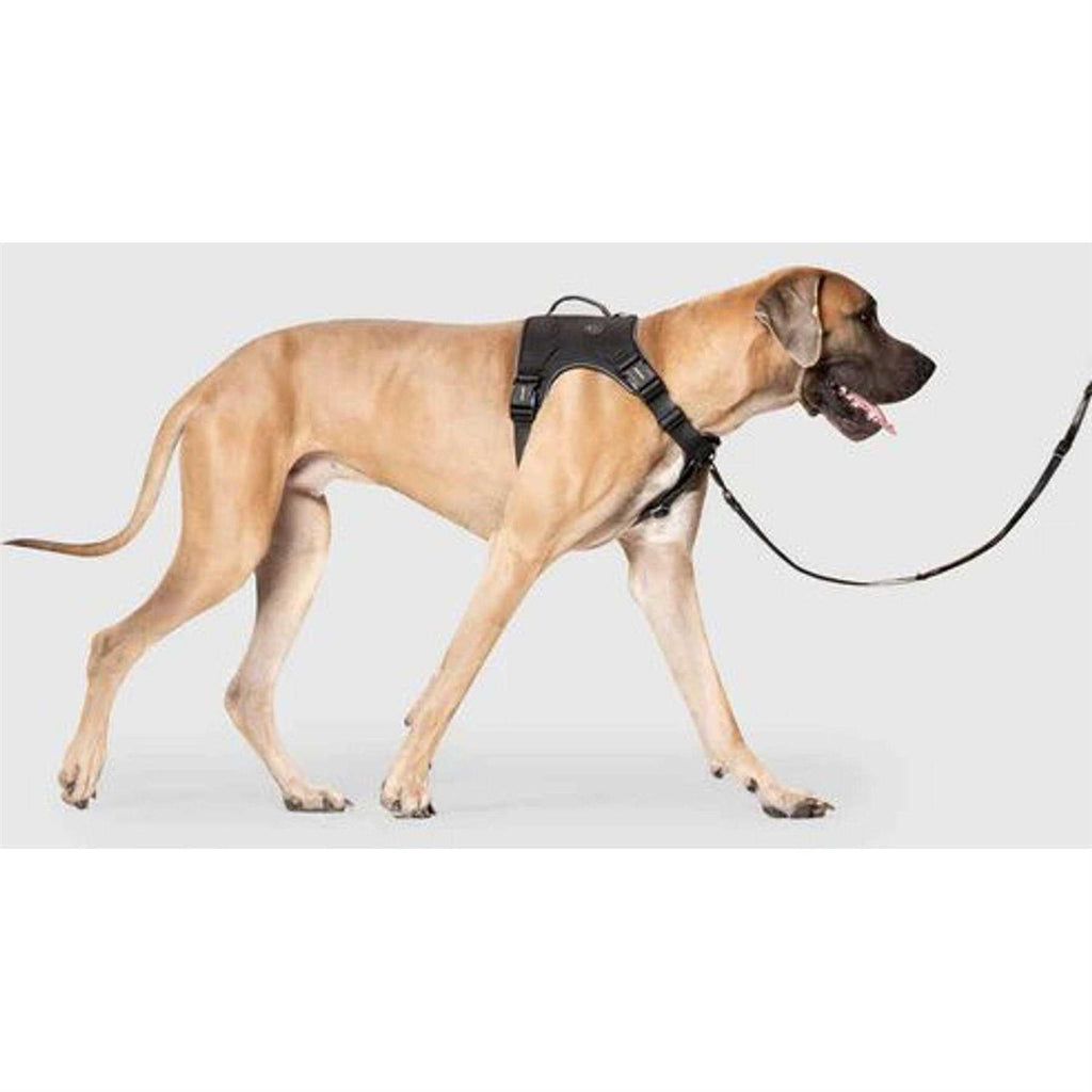 Complete Control Dog Harness V342