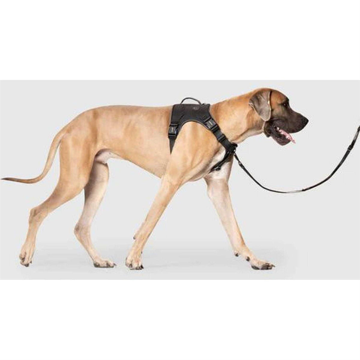 Complete Control Dog Harness V342