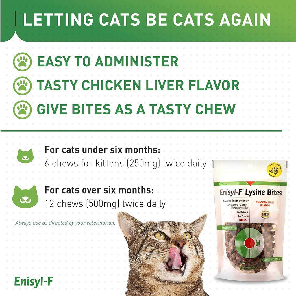 L-Lysine Chews for Cats & Kittens V56980