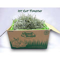 1st Cut Timothy Hay Small Pet Food S51123