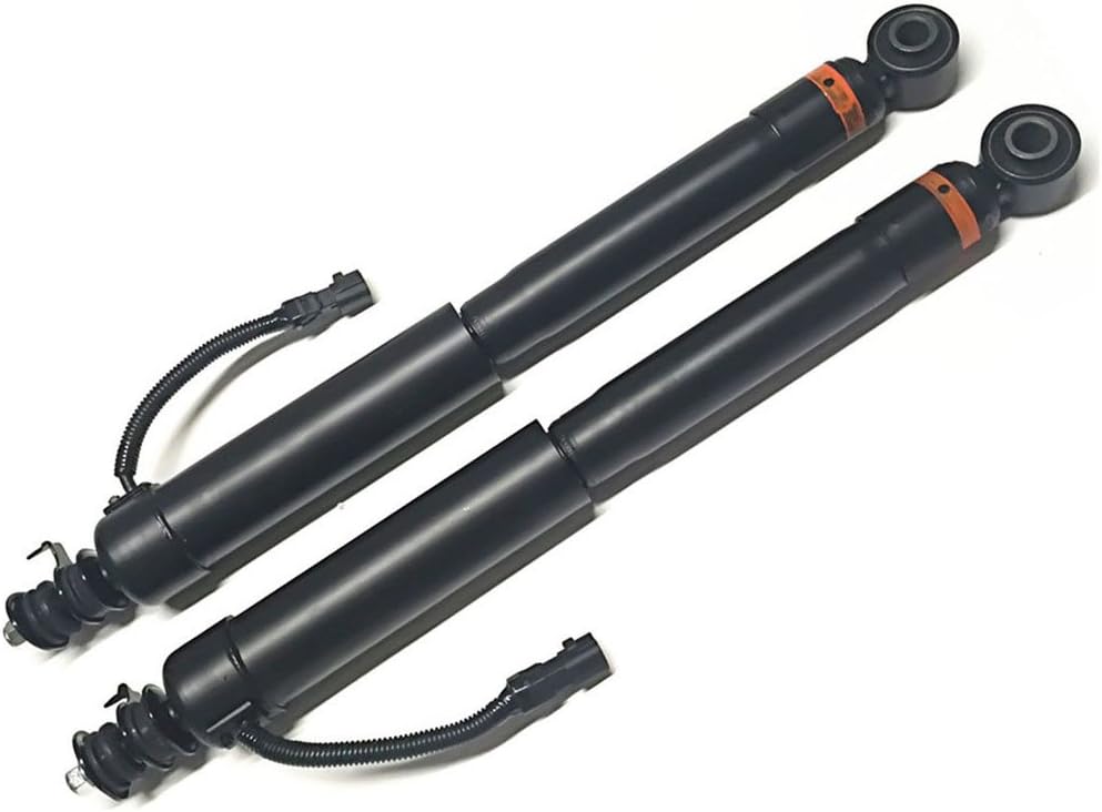 Left and Right Rear Shock Absorber Set B975645