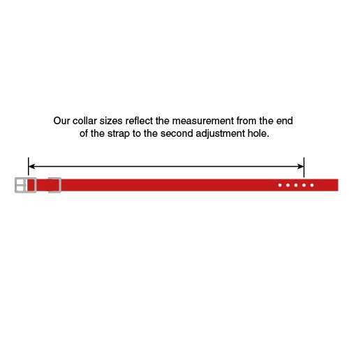 Dog Collar L385