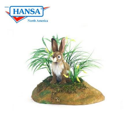 Blacktailed Jack Rabbit N919522