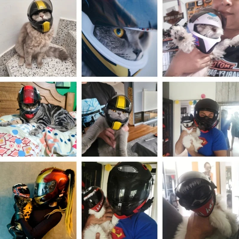 Small Pet Motorcycle Helmet Cat Mini Helmets E48621