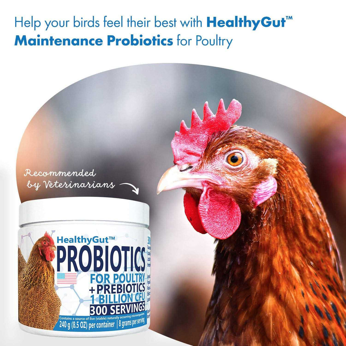 Probiotics for Chickens & Poultry Z2162