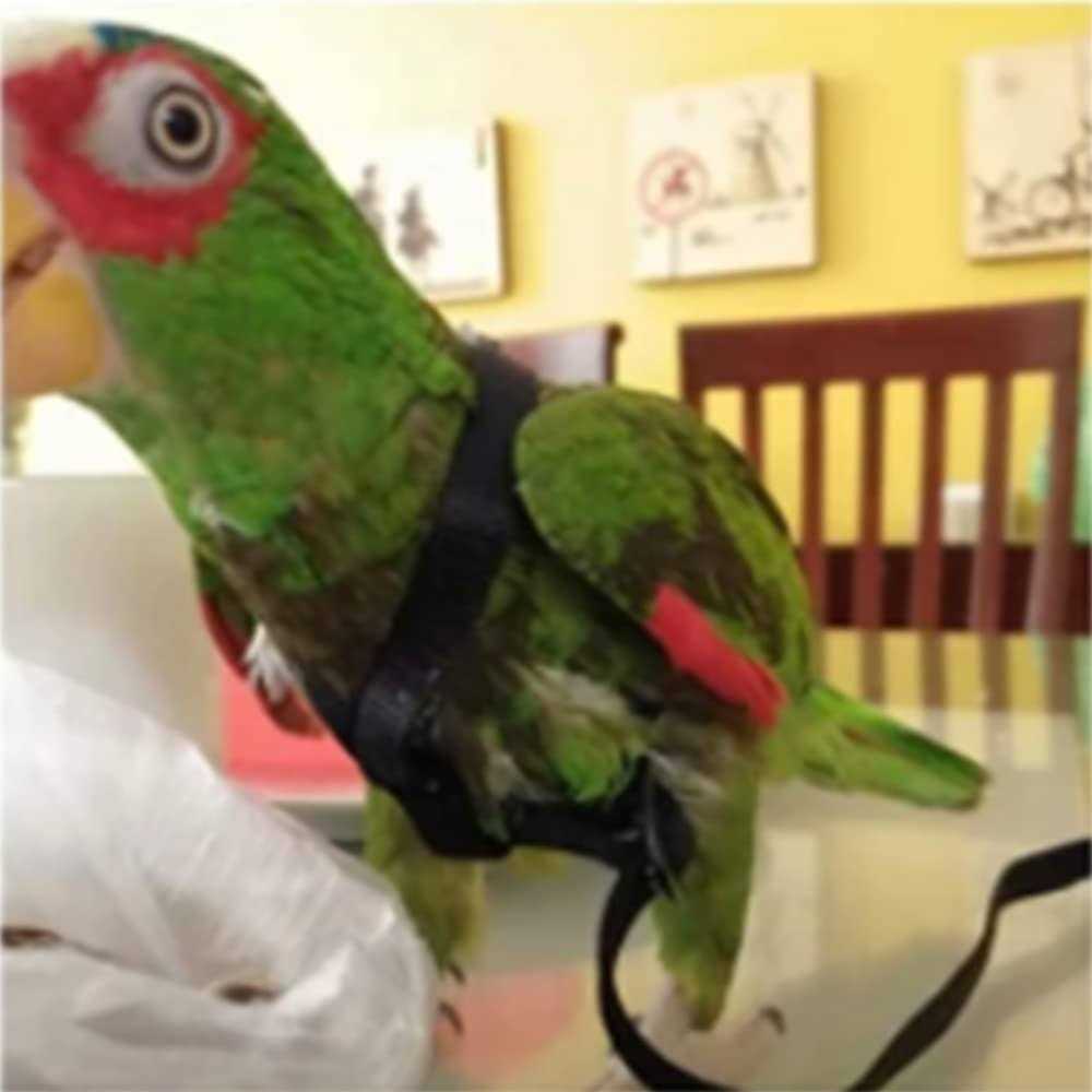Adjustable Bird Harness and Leash K5315
