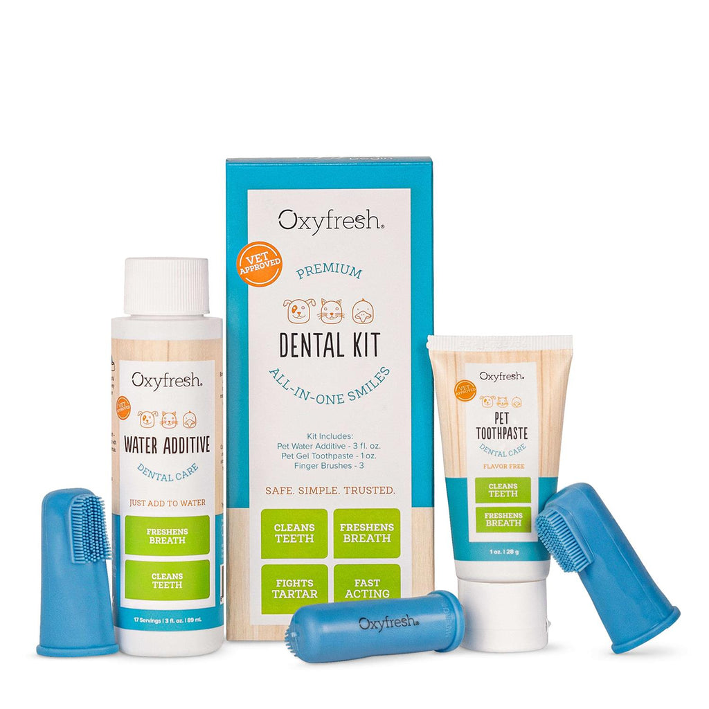 Pet Dental Kit P43776