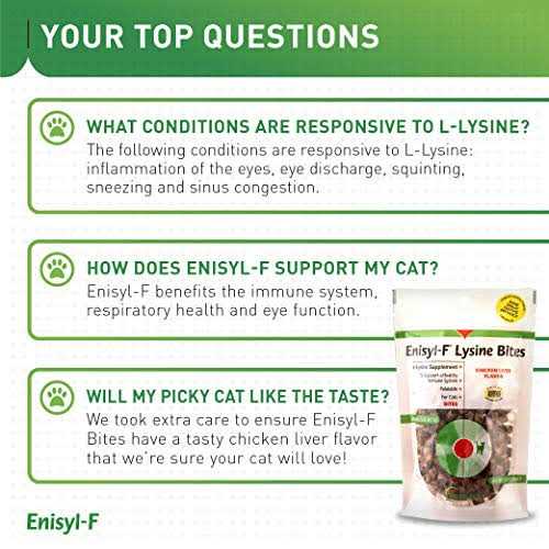 L-Lysine Chews for Cats & Kittens V56980