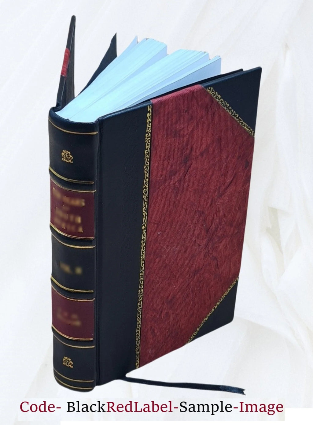 Ralph Ryder of Brent; a novel 1892 [Leather Bound] D7587