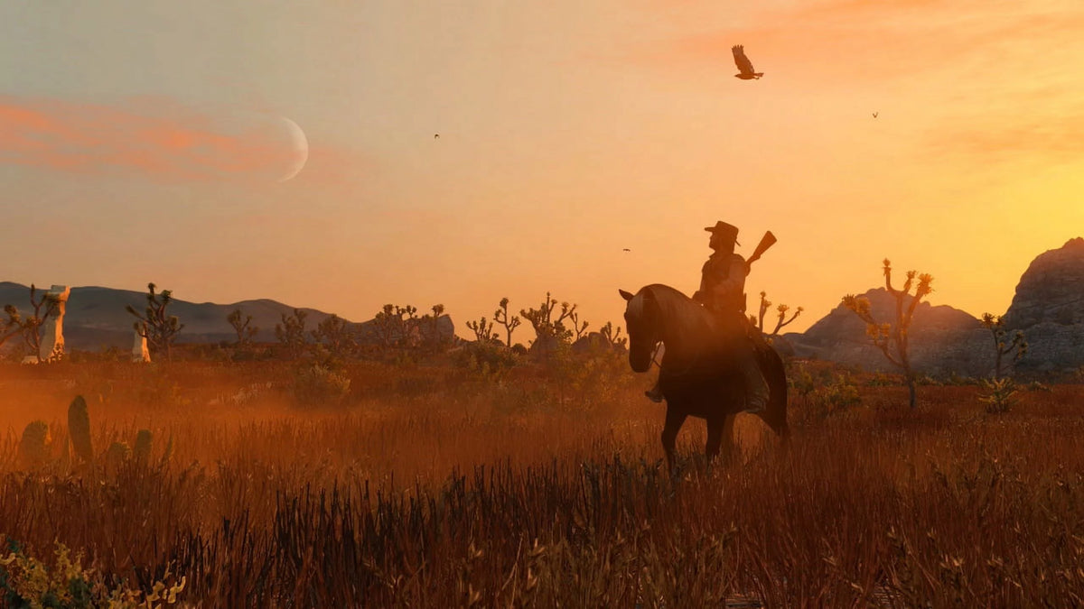 Red Dead Redemption Nintendo Switch Y401