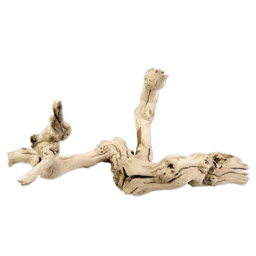 Grapewood Branch W489209