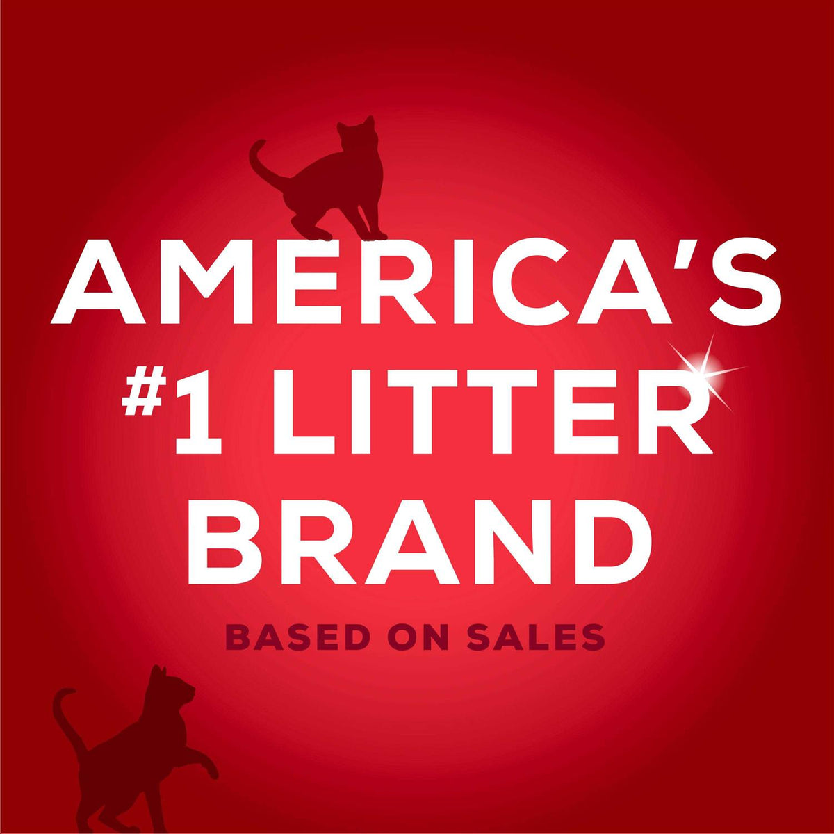Clumping Cat Litter I980481